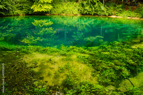 Beautiful view of the Blautopf  a colorful river head in the city of Blaubeuren  Germany surrounded by green plants and trees. The blue-turquoise is unique for this location.