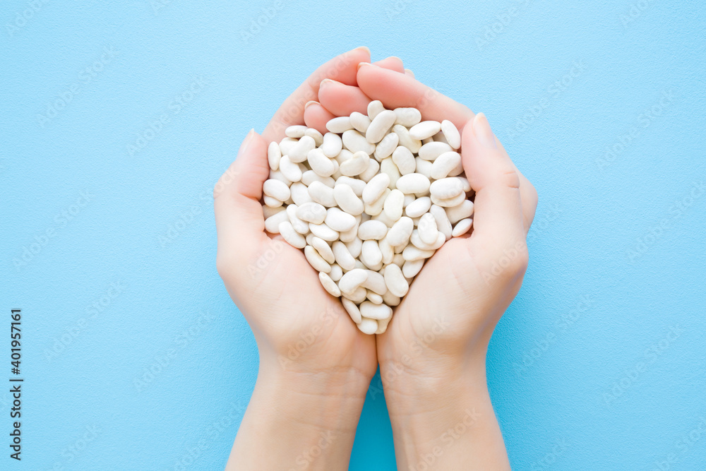 Obraz premium White beans in young adult woman hands on light blue table background. Pastel color. Closeup. Point of view shot. Top down view.
