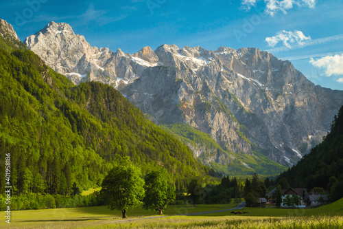 Alpine landscape with green meadows and mountains, Kamnik Alps, Slovenia