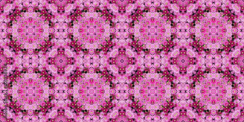 Pink and purple chrysanthemum flowers. Abstract floral background