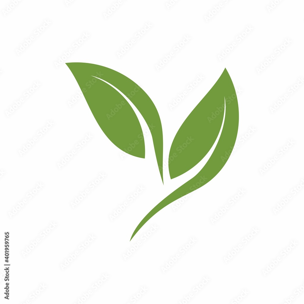 Leaf, tree logo design template vector