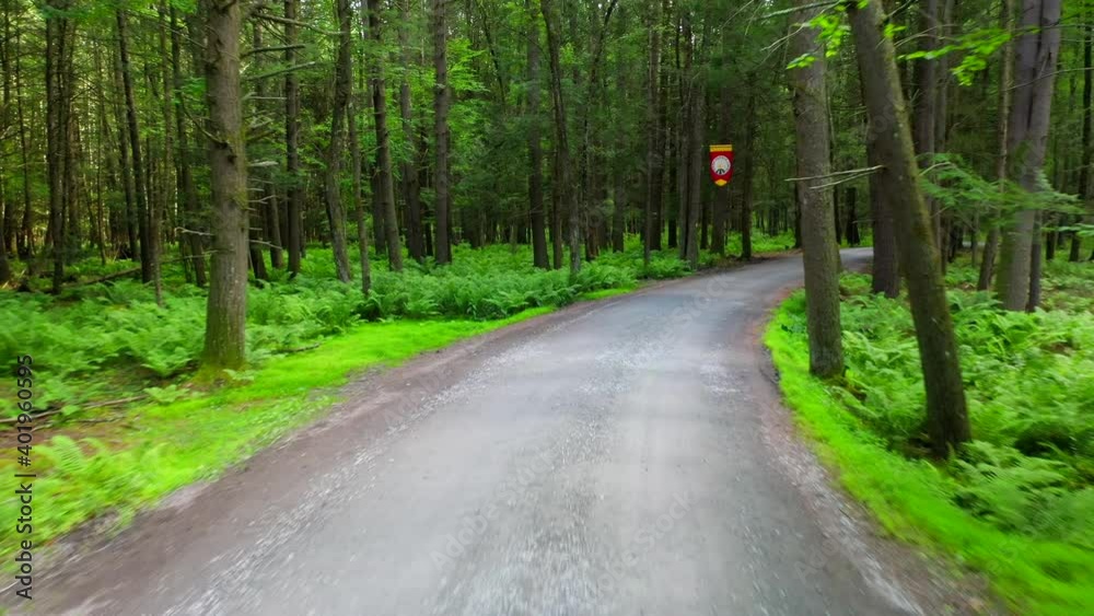 Aerial View of a Road Going Through the Woods into a Summer Camp - Part 3 Aerial View of a Road Going Through the Woods into a Summer Camp - Part 3