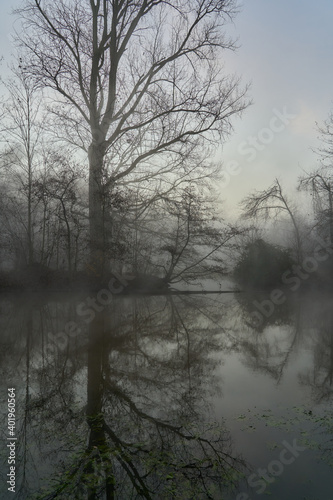 Foggy Morning Landscape and water © andre_beckers