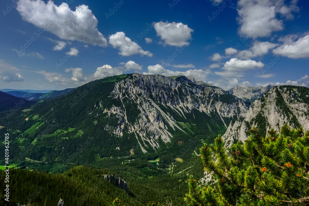 beautiful view to a mountain range and a green lake in the forest beautiful view to a mountain range and a green lake in the forest