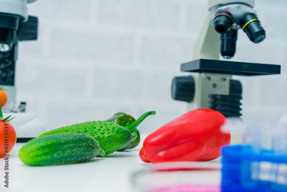 Chemical Laboratory of the Food supply . Food in laboratory, dna modify .GMO Genetically modified food in lab Chemical Laboratory of the Food supply . Food in laboratory, dna modify .GMO Genetically modified food in lab
