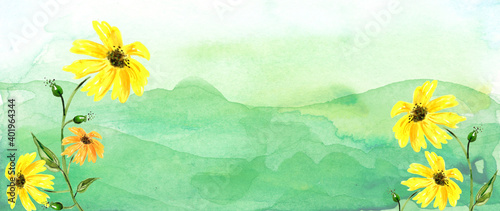 Watercolor floral illustration. Yellow flower on a background of a mountain, a hill. wild grass, flowers, plants. Rural landscape with grass. Sunflower flower. Country summer landscape. Sunflower seed