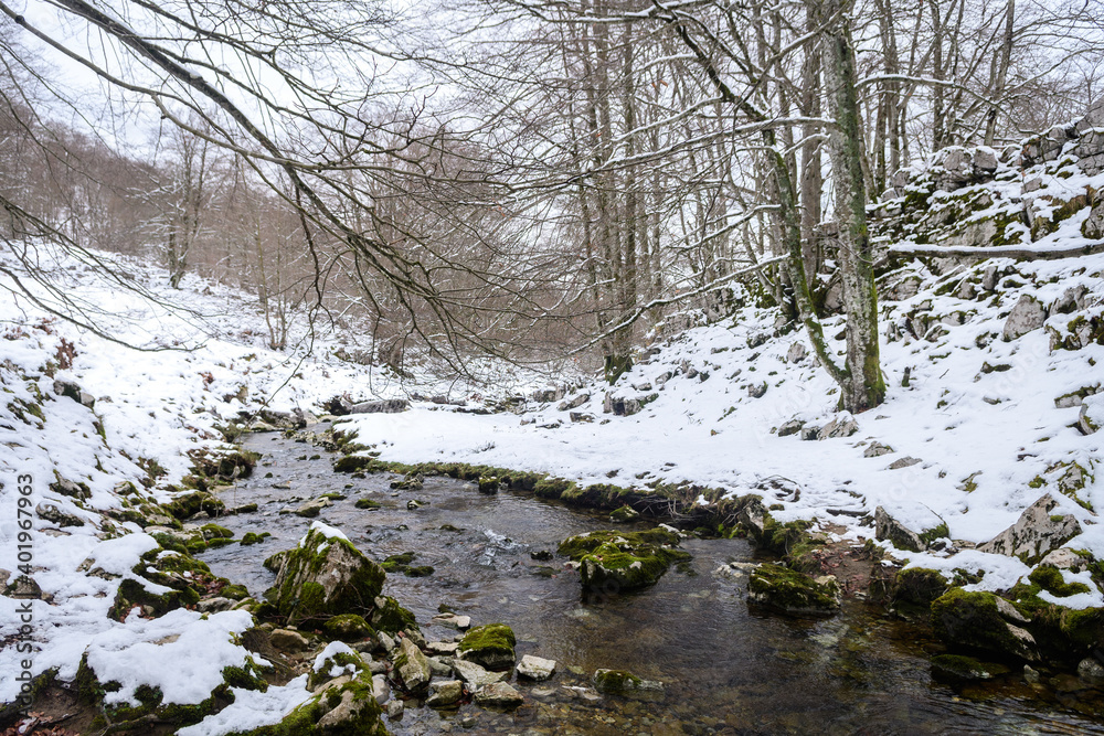 views of peaceful spring water on winter season views of peaceful spring water on winter season