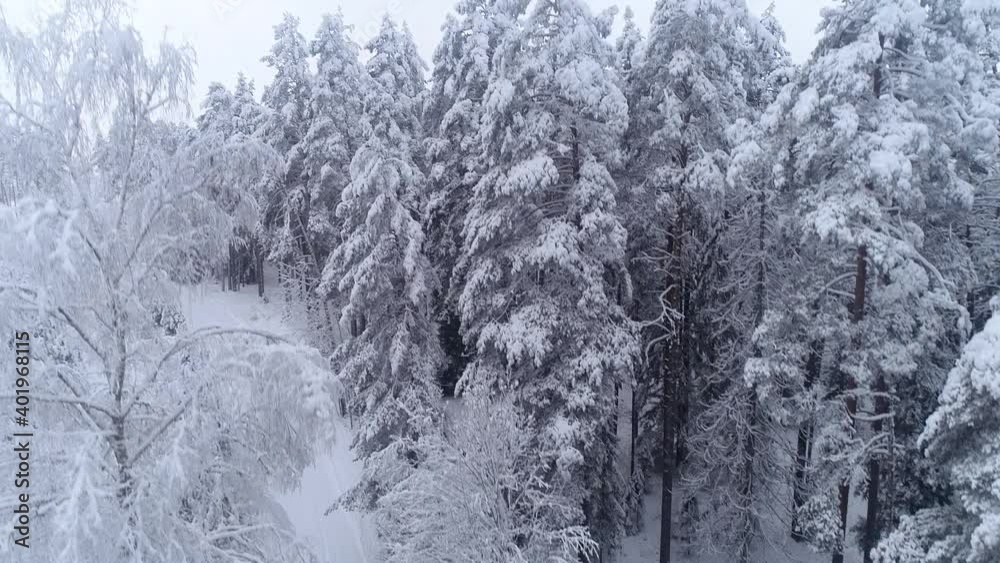 Snowfall covered the road and trees with a layer of snow. Beautiful drone flight in winter Snowfall covered the road and trees with a layer of snow. Beautiful drone flight in winter