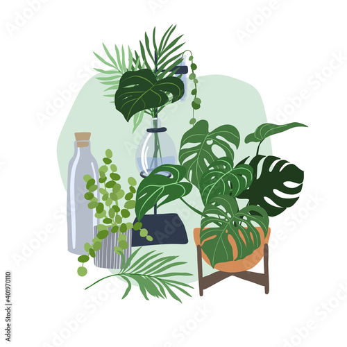 Home plants composition with a glass flask 