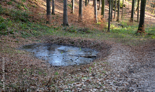 pig pool in a spruce forest. used to capture rainwater in a forest gorge. A place of amphibian reproduction. Frogs and newts need these places. frozen pond level