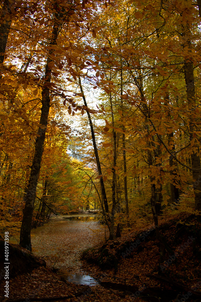 Obraz premium A photo of a lake that is placed in the middle of a forest in the autumn of Bolu Yedigoller.