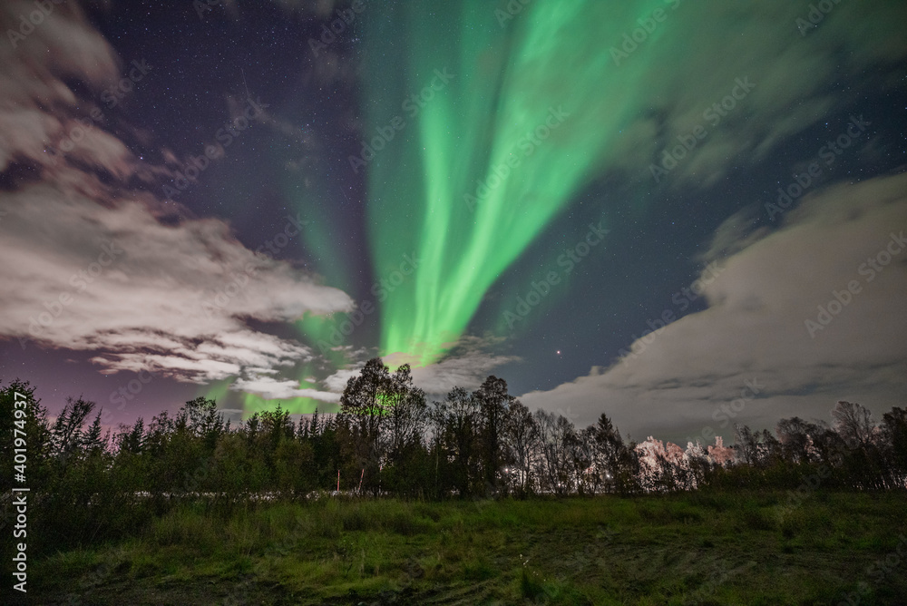 Aurora Borealis
