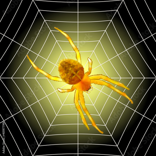 Scary spider sits on a web isolated on black-yellow background.Vector illustration.