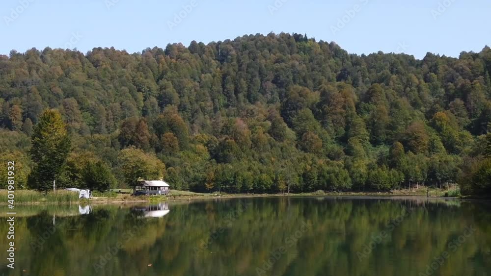 A photo of a forest near a lake which has leaves and a reflection on it. A photo of a forest near a lake which has leaves and a reflection on it.