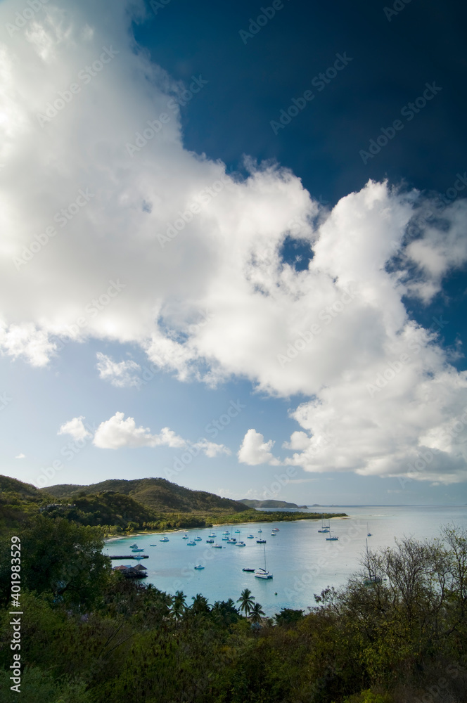 Anchoring ships in tropical bay. Plenty of small yachts on blue sea water, green trees, blue sky and clouds in the background. Aerial view of Britannia Bay, Mustique island. Caribbean lifestyle themes