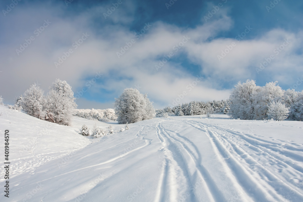 winter landscape with a road in the forest winter landscape with a road in the forest