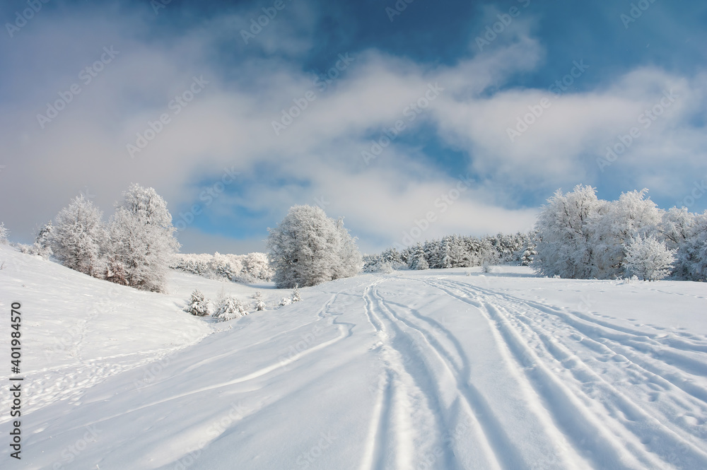 winter landscape with a road in the forest