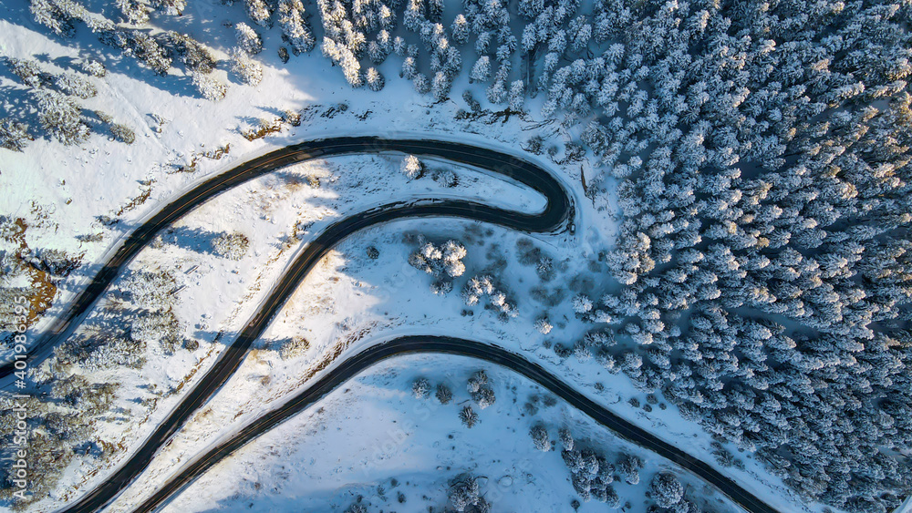 Snow covered trees and road line, aerial drone photo.artvin/turkey