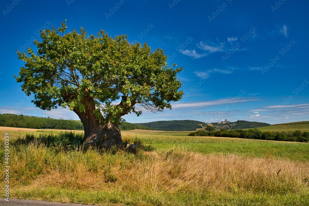 Landscahft in Oberfranekn mit alter Eiche und Blick auf Kloster Banz Deutschland Landscahft in Oberfranekn mit alter Eiche und Blick auf Kloster Banz Deutschland