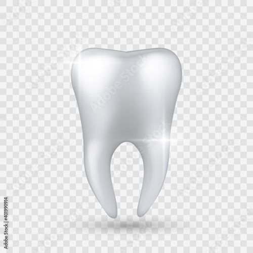 Shiny tooth. Realistic healthy clear white tooth isolated on transparent background, enamel whitening in dental clinic, dentist hygienist or orthodontic treatment oral care vector 3d object