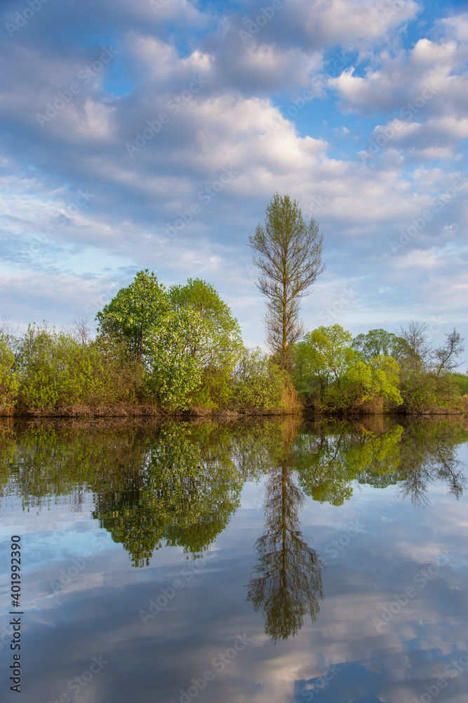 Spring landscape reflected in water