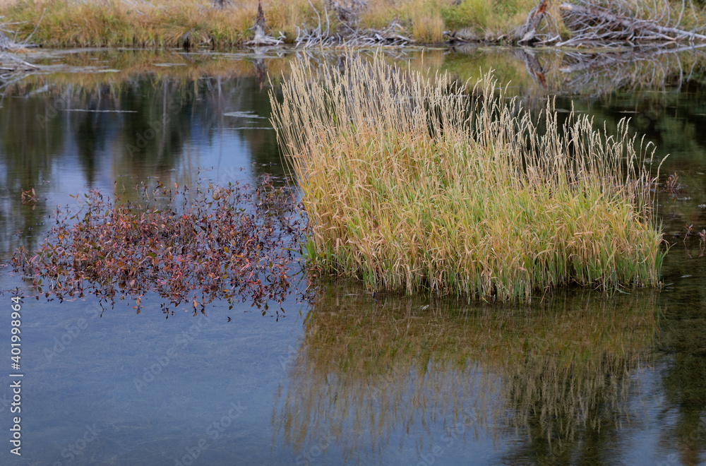 Scenic Reflection Landscape in the Tetons in Autumn Scenic Reflection Landscape in the Tetons in Autumn