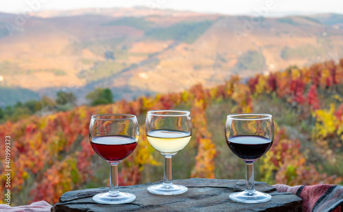 Tasting of Portuguese fortified port wines produced in Douro Valley with colorful terraced vineyards on background in autumn, Portugal