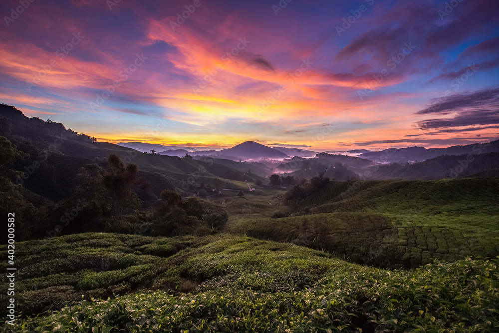 Cameron Highlands tea plantations 
Sunrise in Malaysia  