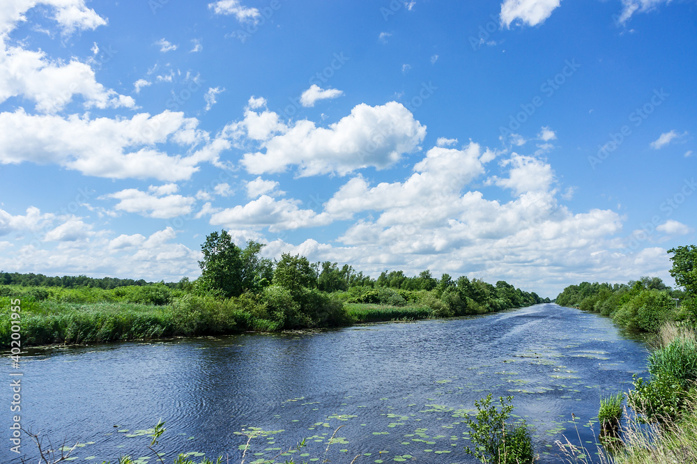 Lake or fishing pond. Landscape a beautiful pond. Forest natural pond.