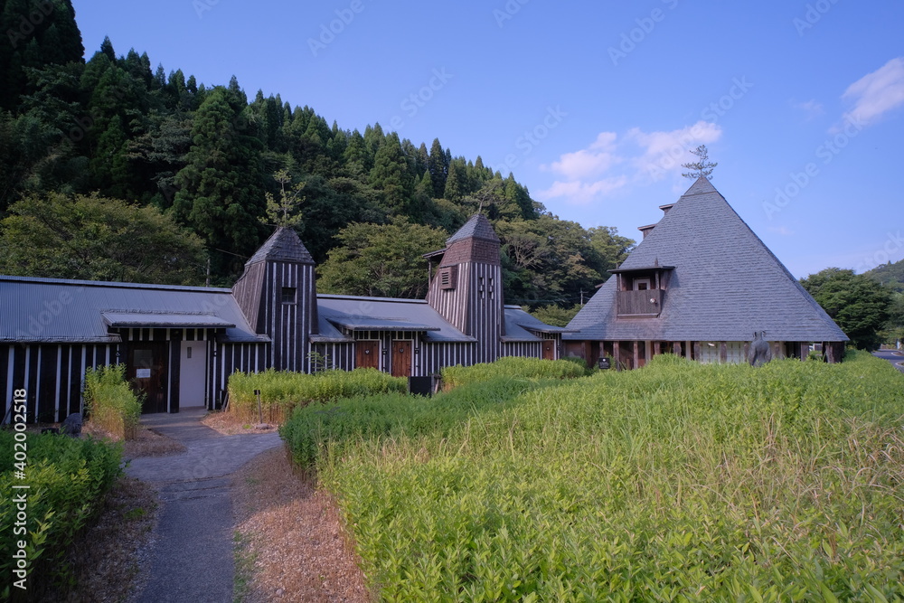 Obraz premium travel in Japan