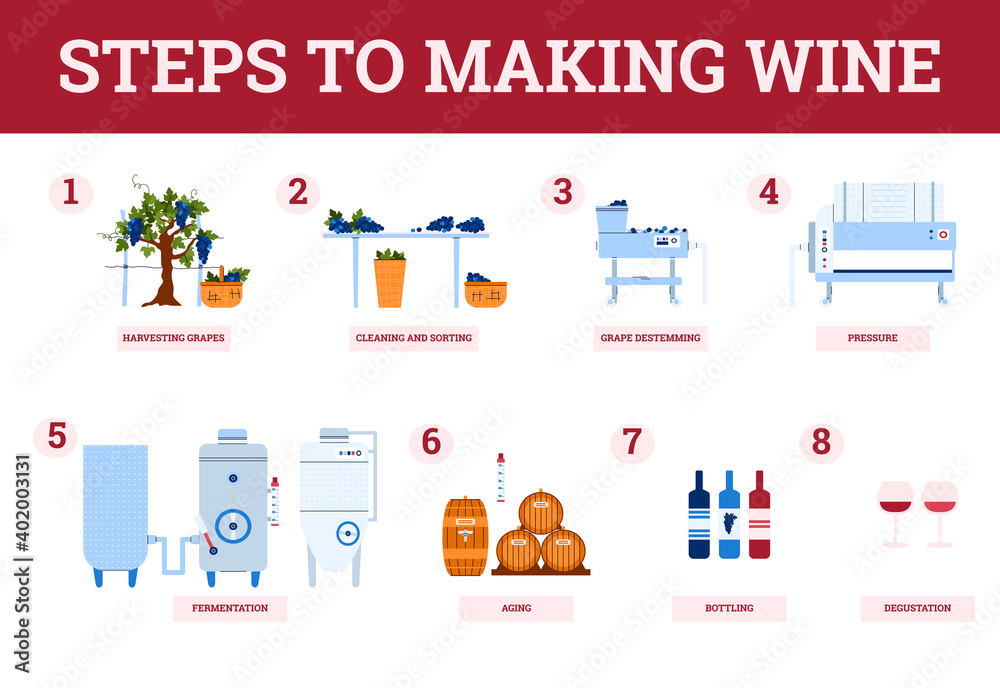 Wine making process steps-from harvest grapes to natural grape red wine. Traditional production of alcohol beverages in winery on winemaking equipment. Banner with infographics.