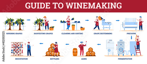Infographic guide to winemaking with winemakers characters, flat cartoon vector illustration isolated on white background. Wine production stages scheme.