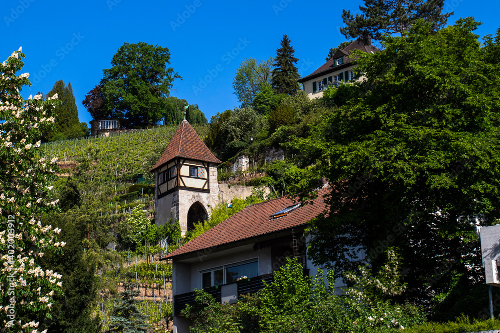 Neckarhaldentorturm, Esslingen am Neckar, Baden-Württemberg