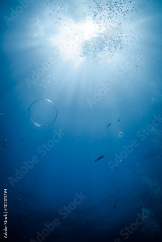 underwater scene with bubbles and air rings by the blue and trasparent ocean