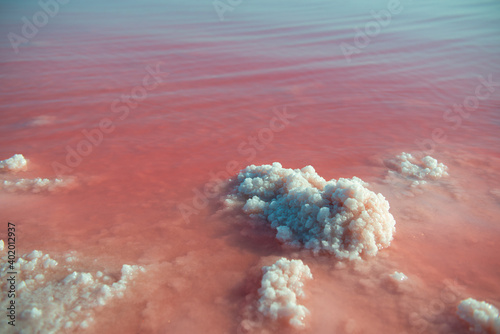  Extremely salty pink lake with crystals of salt, colored by microalgae with crystalline salt depositions in Torrevieja, Spain © Khorzhevska