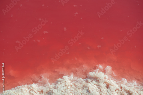 Fotografie Extremely salty pink lake with crystals of salt, colored by microalgae with cry