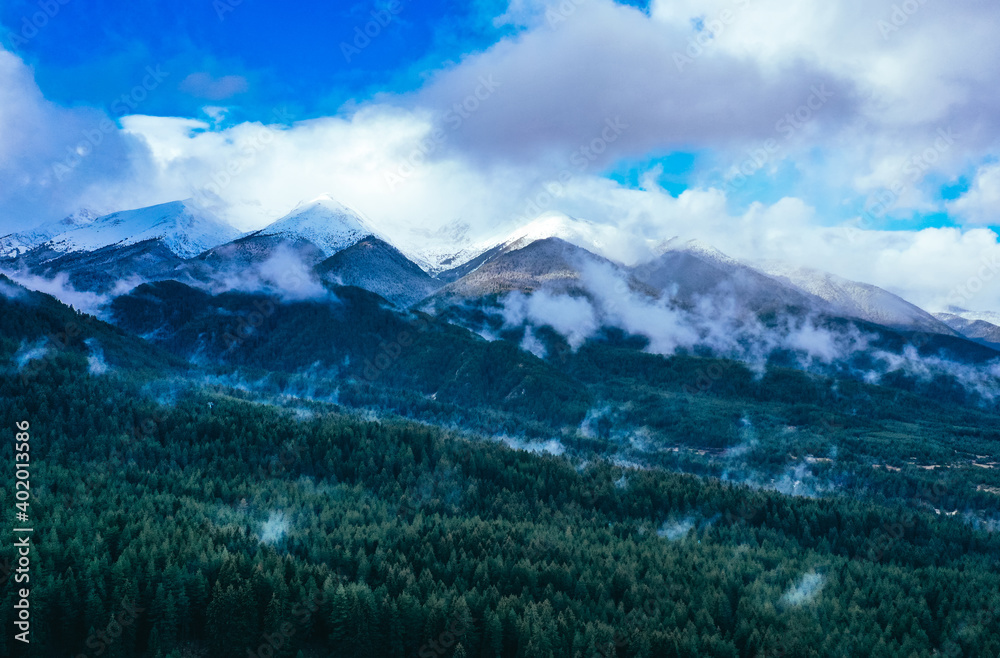 Foggy pine forest, beautiful woods, drone flight, aerial view, valley on the background. Snow caps on mountains tops.