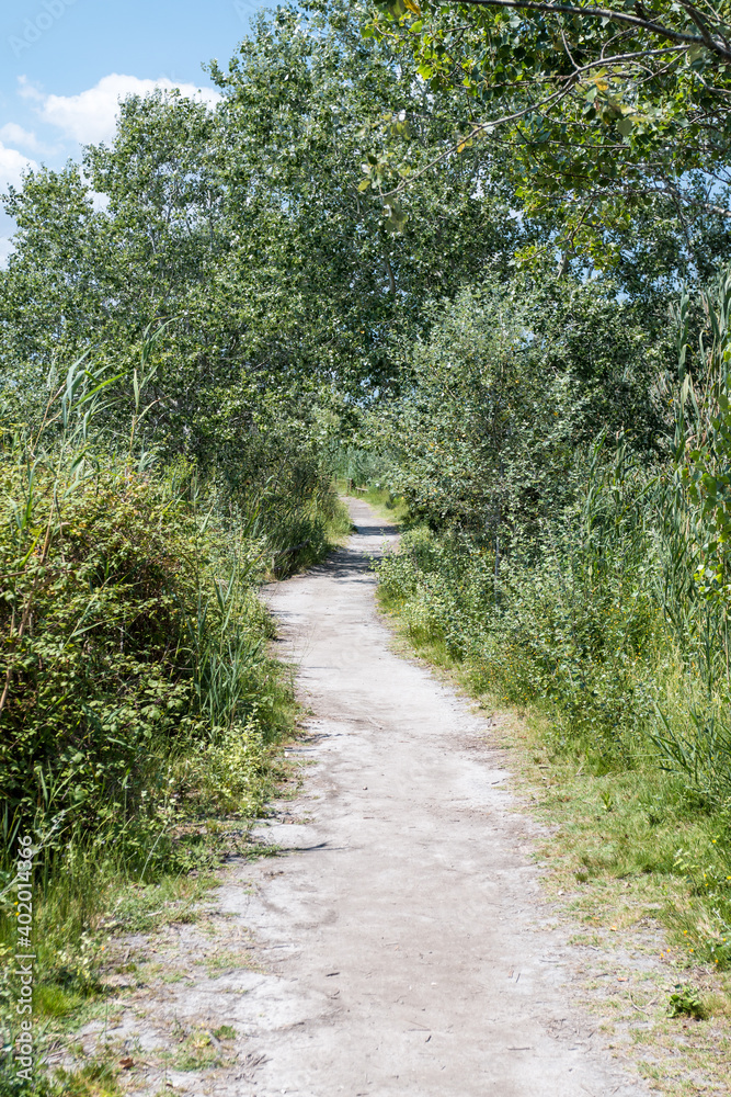 Wanderweg Wanderweg