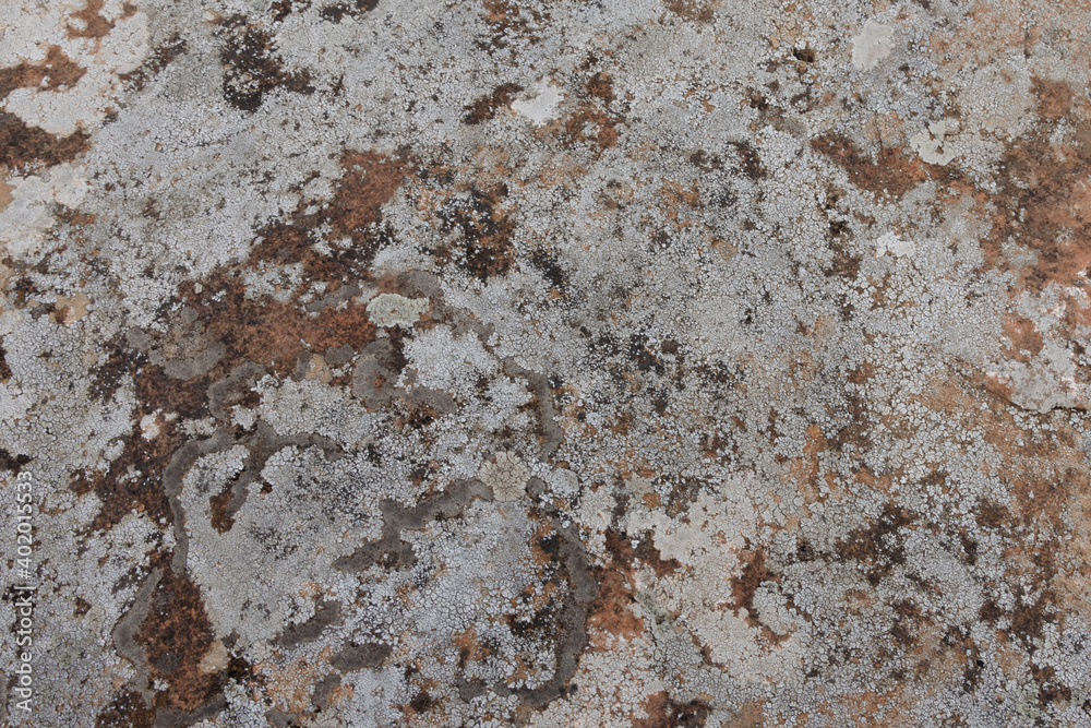 surface structure of natural stone in gray-brown shades surface structure of natural stone in gray-brown shades