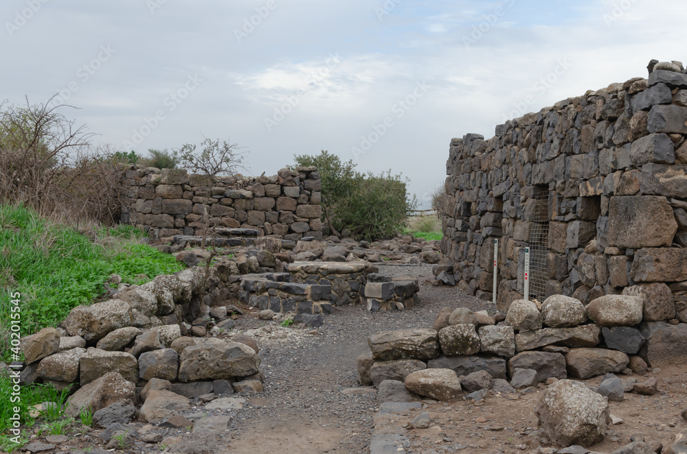 remains of ancient buildings in the Yehudiya Forest Nature Reserve in the golan heights