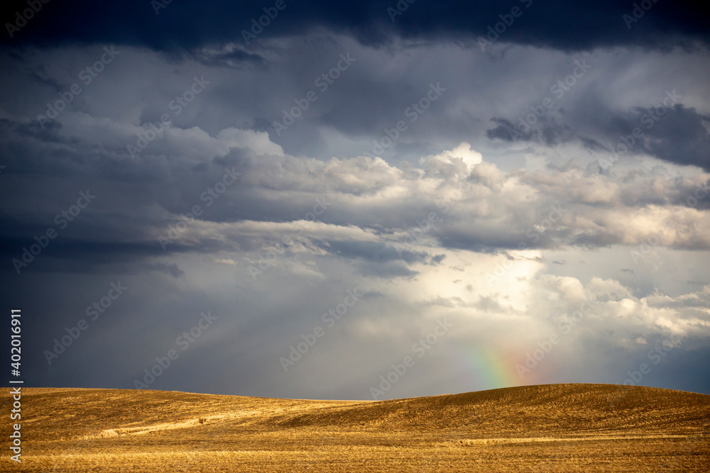Obraz premium Prairie Storm Clouds Canada