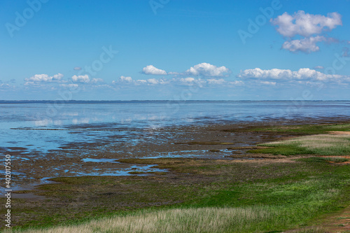 Sylt - View to nature reserve at Wadden Sea nearby Kampen / Germany