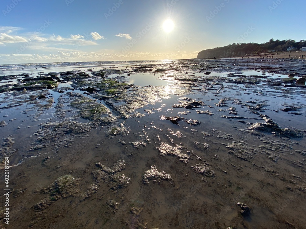 Pett Level Beach at Sunset. With pool of sea ocean water and rocks in foreground. Winchelsea Beach meets the cliffs a petrified forest visible at low tide, on the South coast of England East Sussex UK
