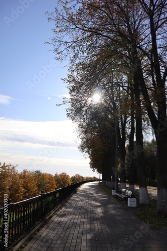 Walk through the park in autumn, road along the trees, autumn landscape 