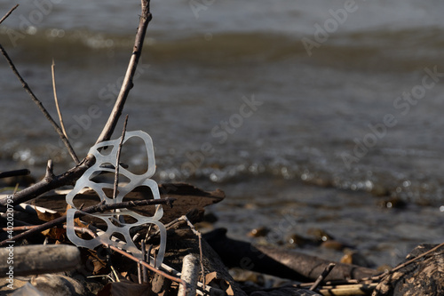 Littered Six Pack plastic can rings stuck on a branch off the shore