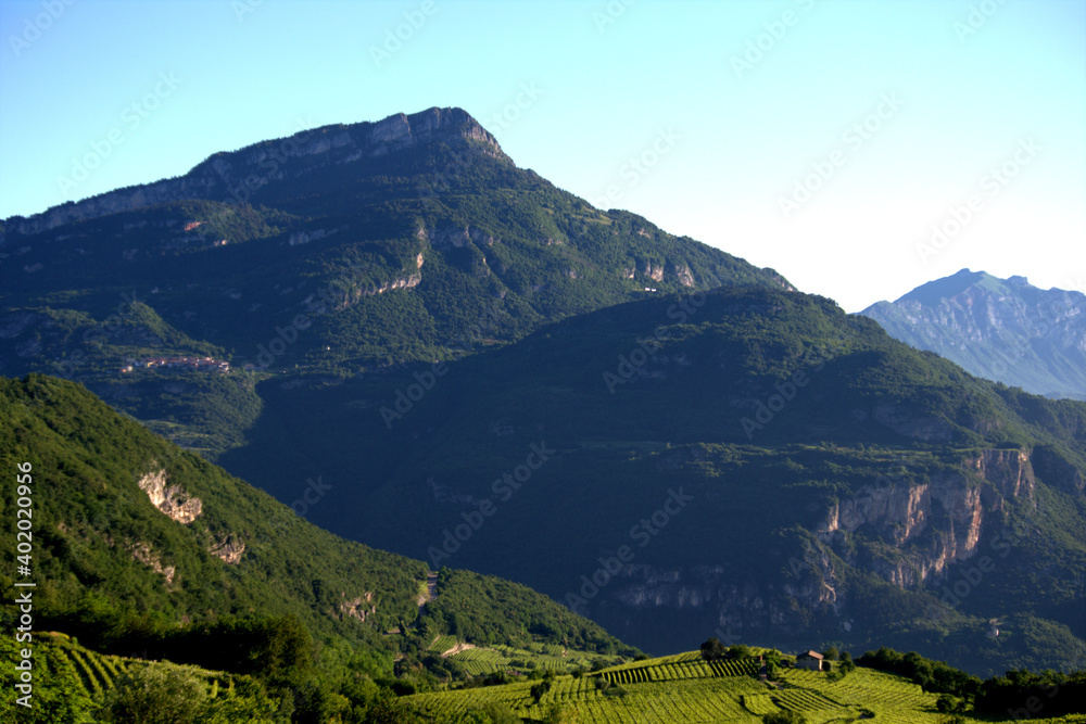 Fototapeta premium vineyards on the alps ,sky, view,mountain, landscape, panorama, summer,rock, tourism,beautiful,valley,