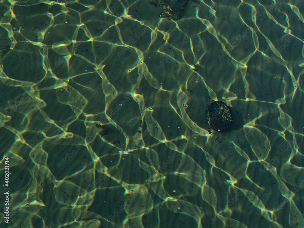 Beautiful high angle view of the shimmering greenish water of Lake Constance with sunlight pattern as well as visible sand and rocks on ground viewed from the jetty of Hagnau am Bodensee, Germany. Beautiful high angle view of the shimmering greenish water of Lake Constance with sunlight pattern as well as visible sand and rocks on ground viewed from the jetty of Hagnau am Bodensee, Germany.