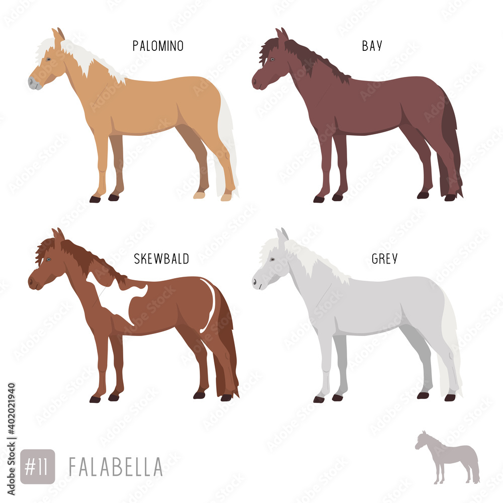 Horse Breeds: Set of Vector Falabella Ponies