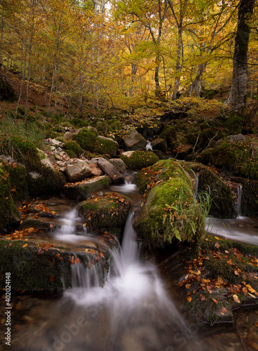 Fototapeta Naklejka Na Ścianę i Meble -  Amanecer en montes y hayedos en otoño