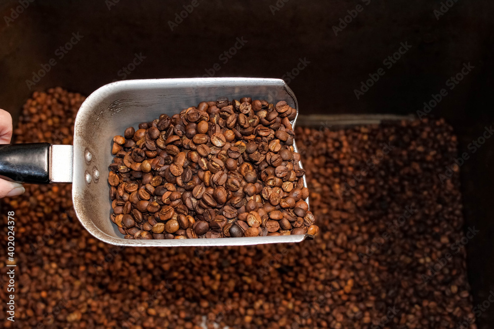 Roasted coffee beans with a metal scoop in them.